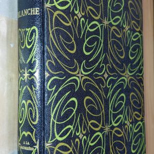 Blanche - Raymonde VINCENT - Image principale