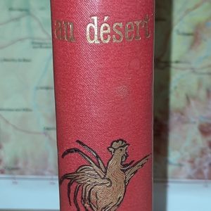 Chryséis au désert - Gérald MONTERIL - Image 2