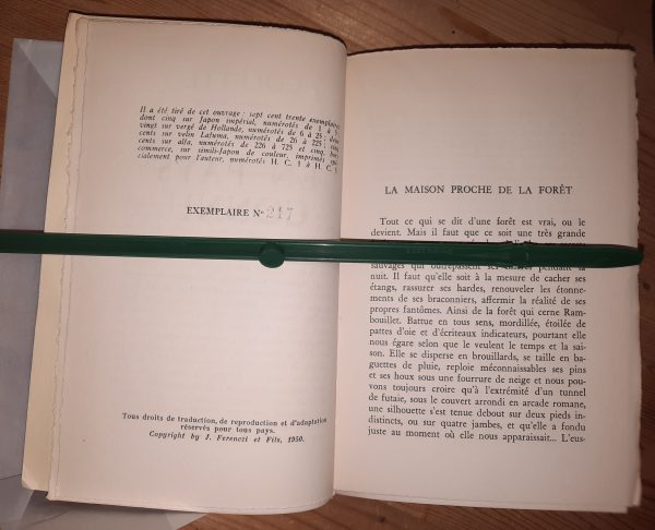 en pays connu - Colette - Image 3