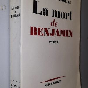 La mort de Benjamin - Claire SAINTE-SOLINE - Image principale