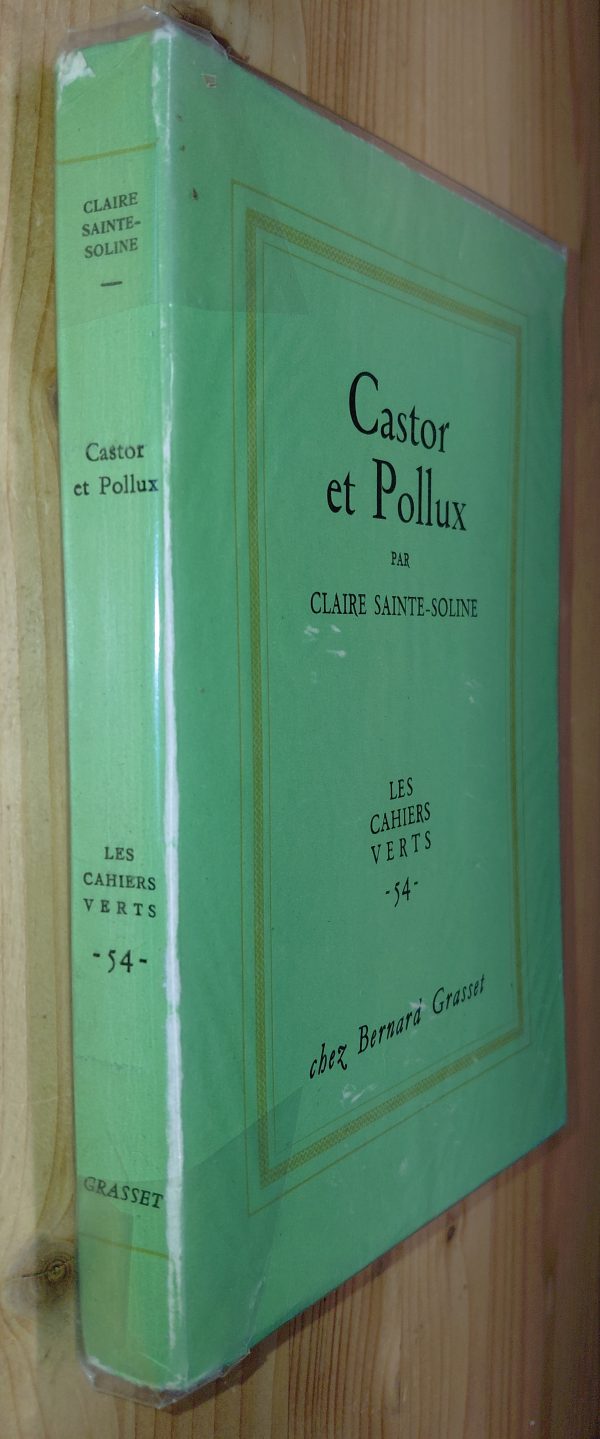 Castor et Pollux - Claire SAINTE-SOLINE - Image principale