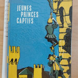 Jeunes princes captifs, deux fils de François Ier prisonniers en Castille - Louis DELLUC - Image principale