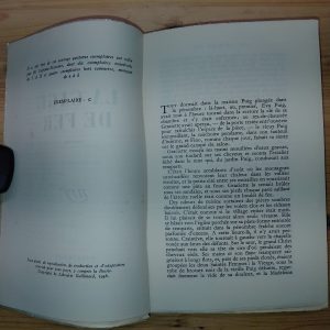 La Cage de fer - Jeanne Galzy - Image 2