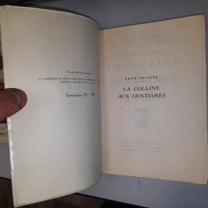 La Colline aux gentianes - Elisabeth Goudge - Image 2