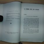 La Femme chez les garçons - Jeanne Galzy - Image 2