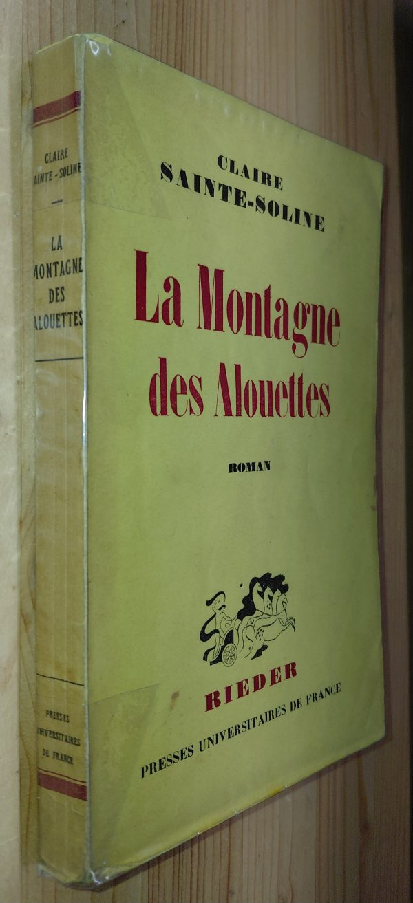 La Montagne des Alouettes - Claire SAINTE-SOLINE - Image principale