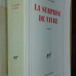 La Surprise de vivre - Jeanne Galzy - Image principale