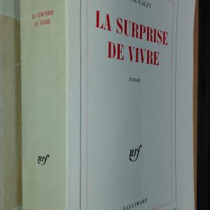 La Surprise de vivre - Jeanne Galzy - Image principale