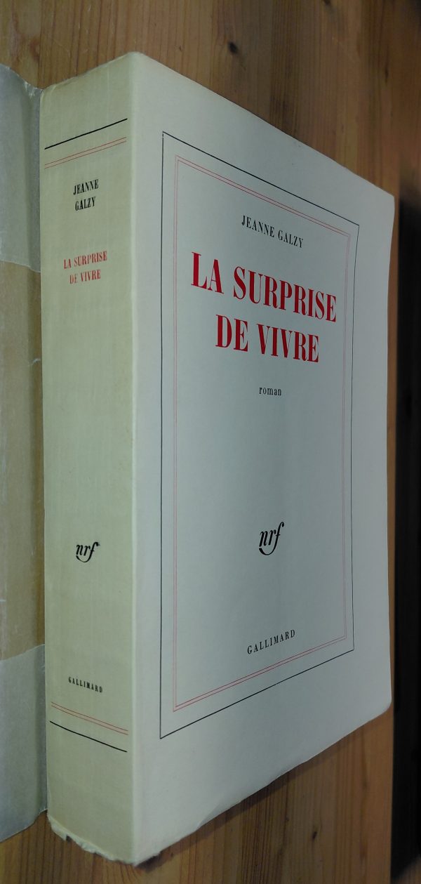 La Surprise de vivre - Jeanne Galzy - Image principale