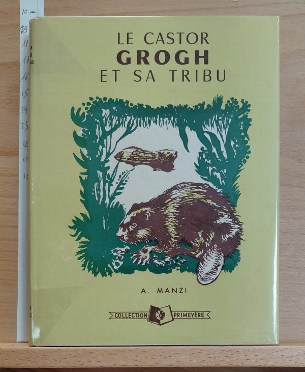 le Castor Grogh et sa tribu - Alberto Manzi - Image principale
