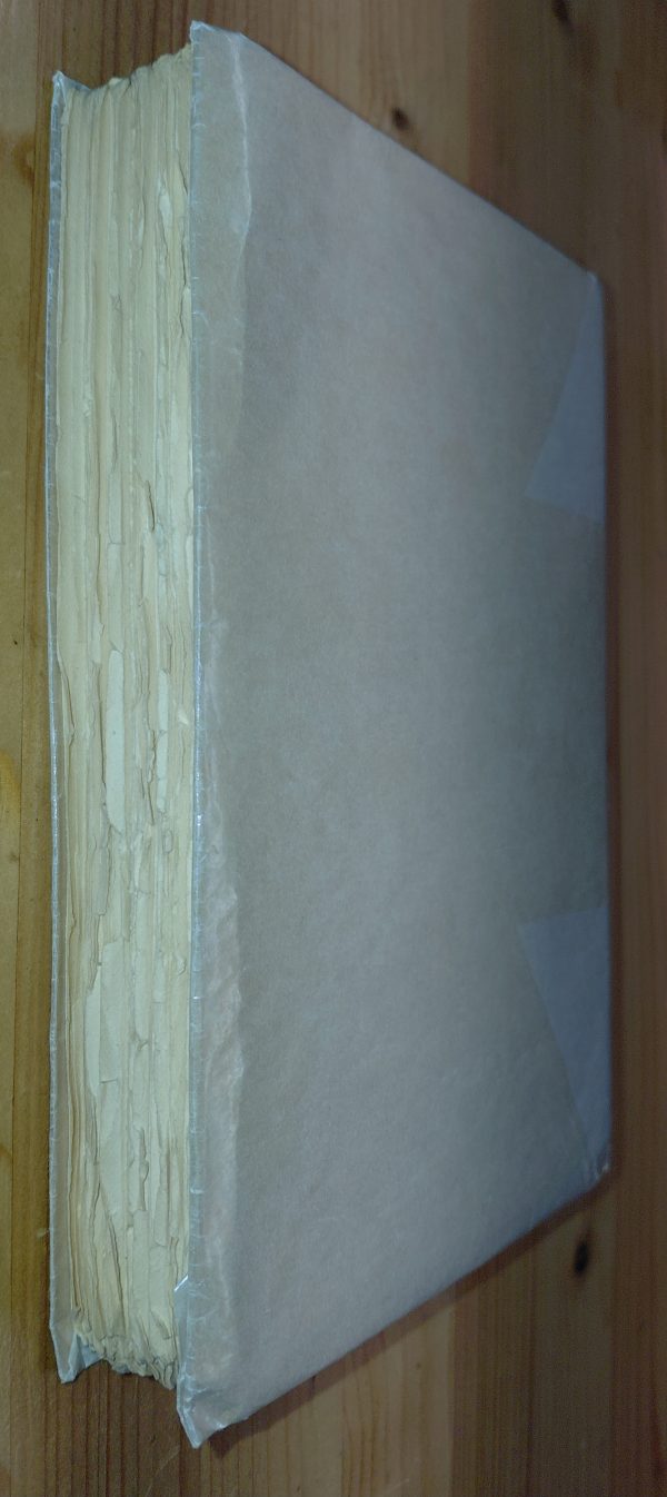 Le Mal venu - Claire SAINTE-SOLINE - Image 3