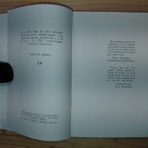 Le Menteur - Claire SAINTE-SOLINE - Image 2