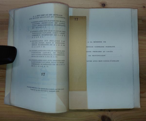 L'Initiatrice aux mains vides - Jeanne Galzy - Image 2