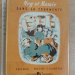 Meg et Mamie dans la tourmente - France ROCHE-CHAMPON - Image principale