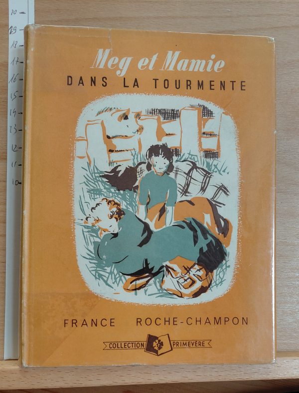 Meg et Mamie dans la tourmente - France ROCHE-CHAMPON - Image principale