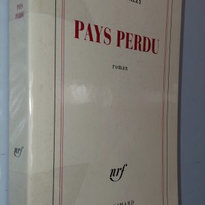 Pays perdu - Jeanne Galzy - Image principale