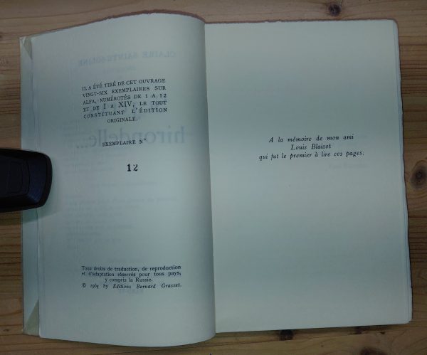 Si j'étais hirondelle - Claire SAINTE-SOLINE - Image 3