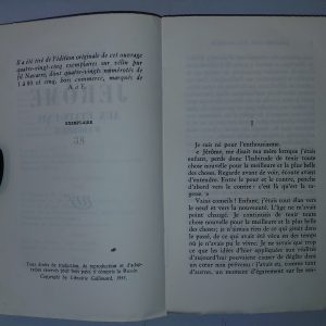 Voyage de Jérôme aux États-Unis d'Amérique - Maurice BEDEL - Image 2