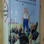 Le mauvais génie - Comtesse de Ségur - Image principale