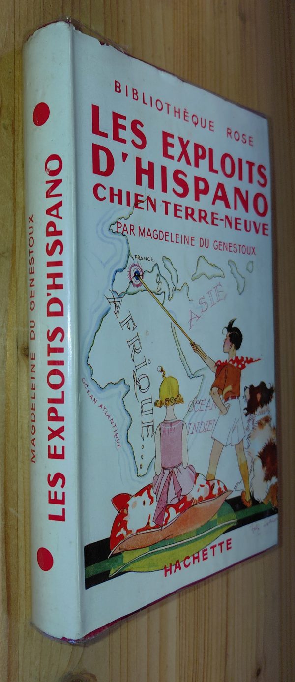 Les exploits d'Hispano, chien Terre-neuve - Magdeleine du Genestoux - Image principale