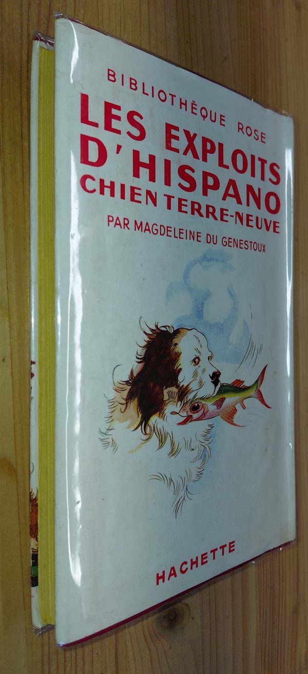 Les exploits d'Hispano, chien Terre-neuve - Magdeleine du Genestoux - Image 2