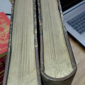 Album De l'exposition De 1878 (2 livres Ière et 2ième partie) - Glück - Image 2