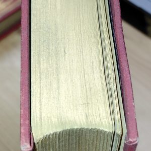 La retraite infernale - Edmond DESCHAUMES - Image 2