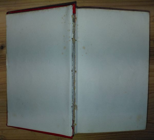 Le Petit Robinson Crusoè - Anonyme - Image 5