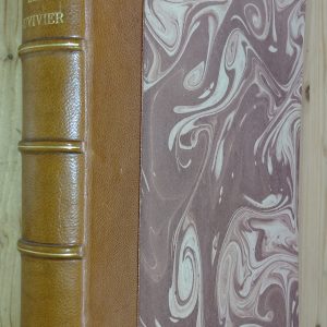 Les DUVIVIER - Henry NOCQ - Image principale