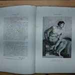 Michel Ange, Raphael & Léonard de Vinci - Charles CLEMENT - Image 9