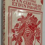 Histoire d'un cerf-volant et d'un parapluie - Eugène LEMERCIER - Image principale