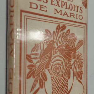 Les exploits de Mario - Pierre PERRAULT - Image principale