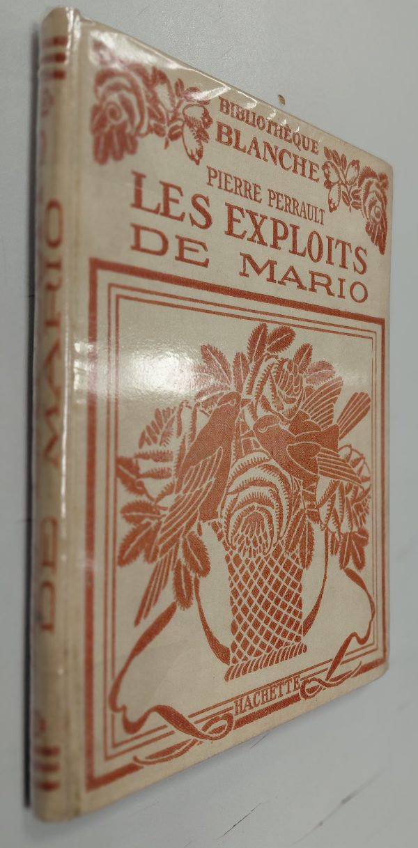 Les exploits de Mario - Pierre PERRAULT - Image principale