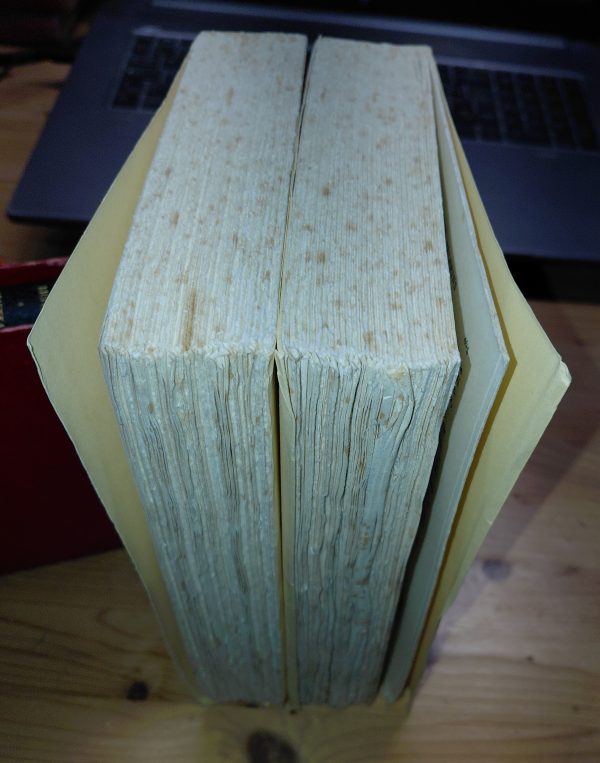 Terra Magna (2 tomes) - John KNITTEL - Image 3