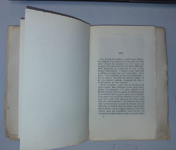 La Maison Marbuzet - Jean BALDE - Image 7